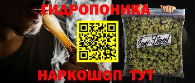винт Кингисепп