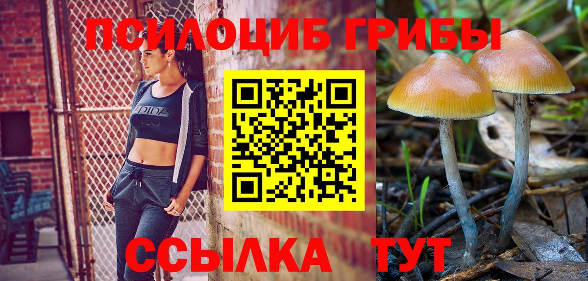Галлюциногенные грибы Psilocybine cubensis  Галлюциногенные грибы Magic Shrooms  Вход с VPN  Ярославль 